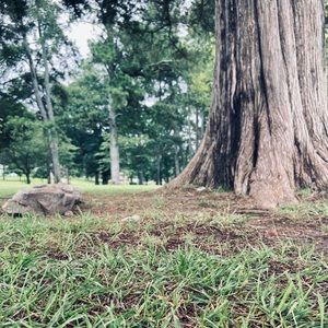 Meet your Posher, Kaylee